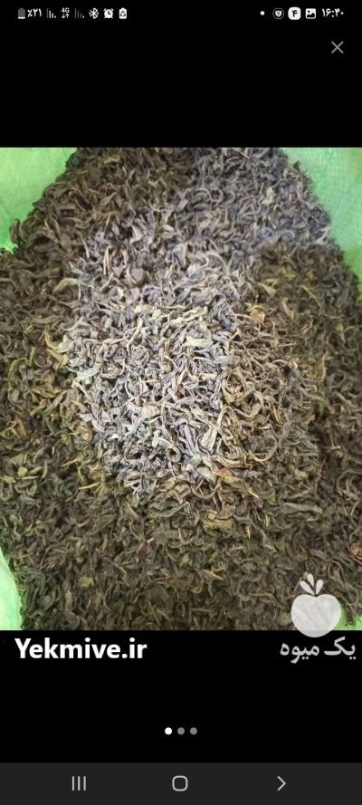 چای سبز ایرانی قلم بدون چوب در گروه خرید و فروش چای در یکمیوه -عکس1