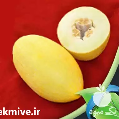 قیمت خرید بذر خربزه GHAHRAMAN در گروه خرید و فروش بذر خربزه در یکمیوه -عکس1