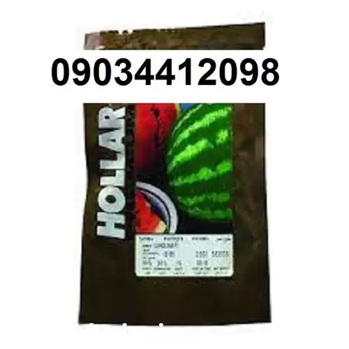 فروش بذر هندوانه هولار در کرمان  در گروه خرید و فروش بذر هندوانه در یکمیوه -عکس1