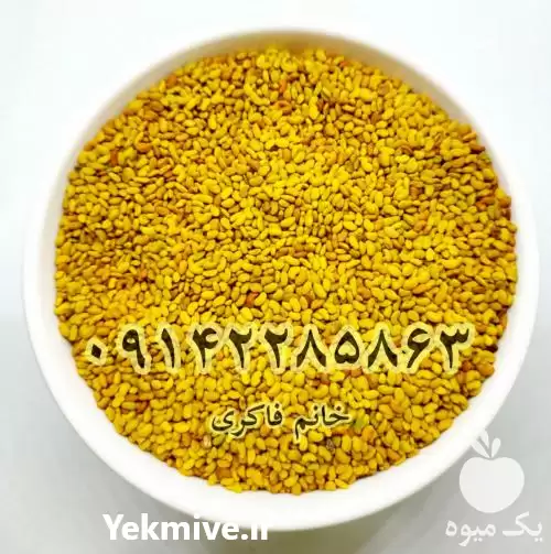 قیمت خرید بذر یونجه پا بلند در شیراز در گروه خرید و فروش بذر یونجه در یکمیوه -عکس1