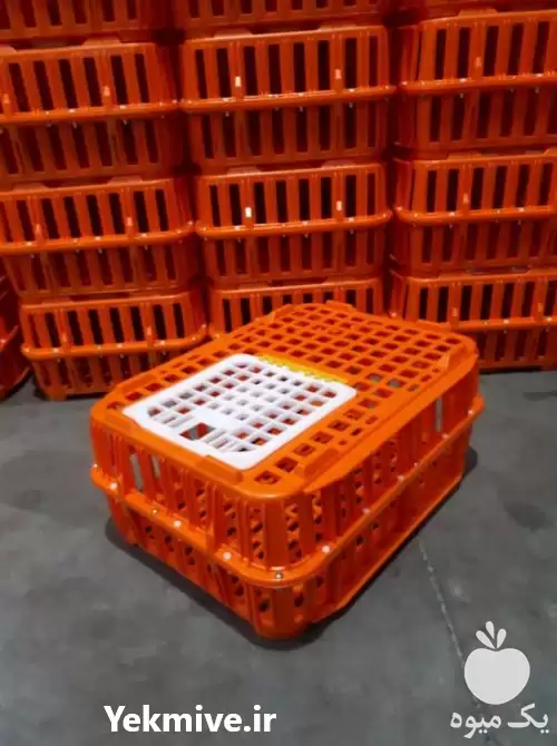 قیمت خرید 	قفس جعبه حمل مرغ در تهران در گروه تجهیزات مرغداری در یکمیوه -عکس1