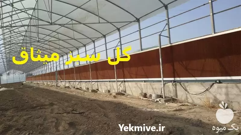 قیمت خرید پد سلولزی گلخانه در تهران در گروه خرید و فروش تجهیزات گلخانه در یکمیوه -عکس1