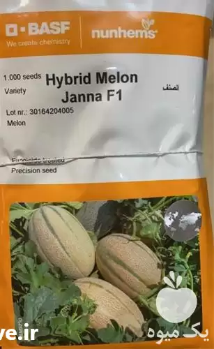فروش بذر طالبی جانا در خرم‌ آباد در گروه خرید و فروش بذر طالبی در یکمیوه -عکس1