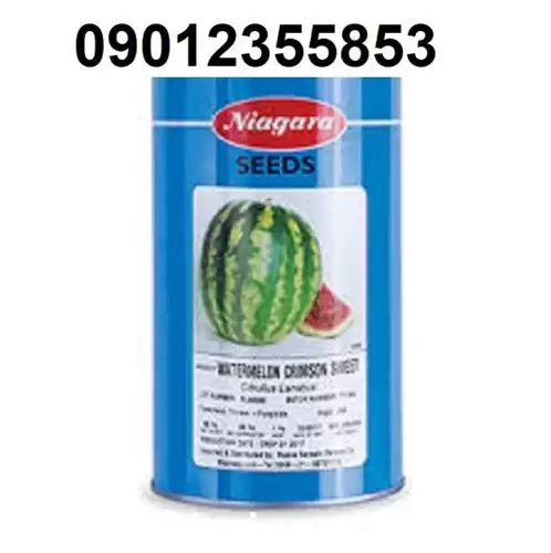 قیمت بذر هندوانه نیاگارا پرفروش اصل در گروه خرید و فروش بذر هندوانه در یکمیوه -عکس1