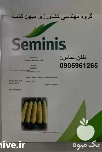 بذر ذرت شیرین مریت سمینیس در گروه خرید و فروش بذر ذرت در یکمیوه -عکس1