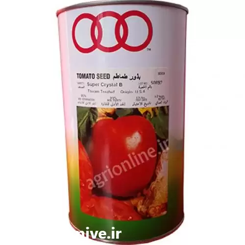 فروش عرضه بذر گوجه فرنگی سوپر در گروه خرید و فروش بذر گوجه در یکمیوه -عکس1