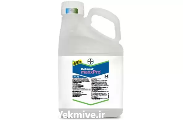 قیمت خرید سم betanal maxxpro بایر در خرم‌ آباد در گروه خرید و فروش انواع سم در یکمیوه -عکس1