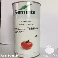 فروش بذر گوجه فرنگی سمینس 8320 در تهران در گروه خرید و فروش بذر گوجه در یکمیوه