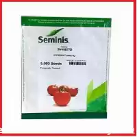 قیمت خرید بذر گوجه هیبرید 4592 در شیراز در گروه خرید و فروش بذر گوجه در یکمیوه