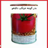 قیمت خرید بذر گوجه فرنگی هیبرید در شیراز در گروه خرید و فروش بذر گوجه در یکمیوه