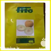 قیمت خرید بذر هیبرید ملون فنومنون در گروه خرید و فروش بذر خربزه در یکمیوه