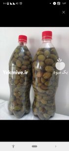 زیتون سبز شوری در علی آباد در گروه خرید و فروش زیتون در یکمیوه
