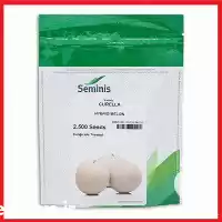 قیمت خرید بذر ملون هیبرید کور در یزد در گروه خرید و فروش بذر ملون در یکمیوه