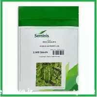 فروش بذر هندوانه هیبرید رد هون در یزد در گروه خرید و فروش بذر هندوانه در یکمیوه