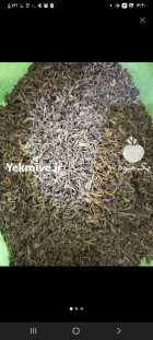 چای سبز ایرانی قلم بدون چوب در گروه خرید و فروش چای در یکمیوه