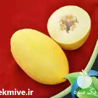 قیمت خرید بذر خربزه GHAHRAMAN در گروه خرید و فروش بذر خربزه در یکمیوه