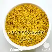 قیمت خرید بذر یونجه پا بلند در شیراز در گروه خرید و فروش بذر یونجه در یکمیوه