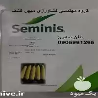 بذر ذرت شیرین مریت سمینیس در گروه خرید و فروش بذر ذرت در یکمیوه
