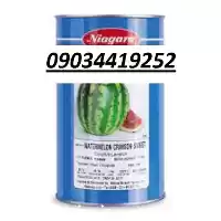 فروش بذر هندوانه نیاگارا شیرین در گروه خرید و فروش بذر هندوانه در یکمیوه