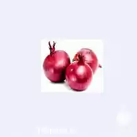 فروش بذر پیاز روز کوتاه ژولیت در گروه خرید و فروش بذر پیاز در یکمیوه