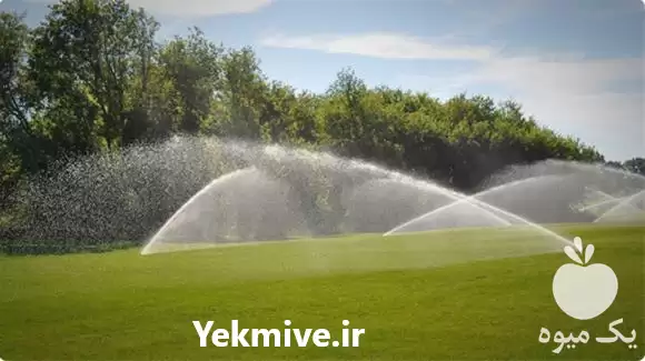 فروش طراحی اجرای سیستم های آبیاری در تهران در گروه خرید و فروش اتصالات و تجهیزات آبیاری در یکمیوه -عکس1