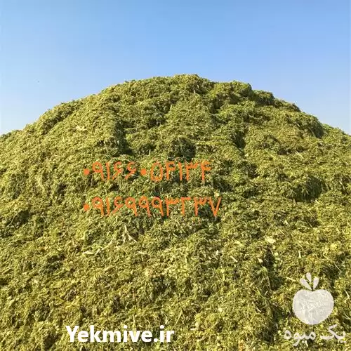 قیمت خرید یونجه پرس خشک در تبریز در گروه خرید و فروش ذرت در یکمیوه -عکس1