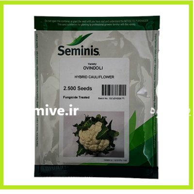 فروش بذر گل کلم اویندولی Ovindoli در شیراز در گروه خرید و فروش بذر صیفی جات در یکمیوه -عکس1