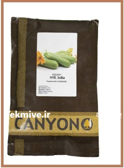 فروش بذر کدوی سولکا کانیون در شیراز در گروه خرید و فروش بذر کدو در یکمیوه -عکس1