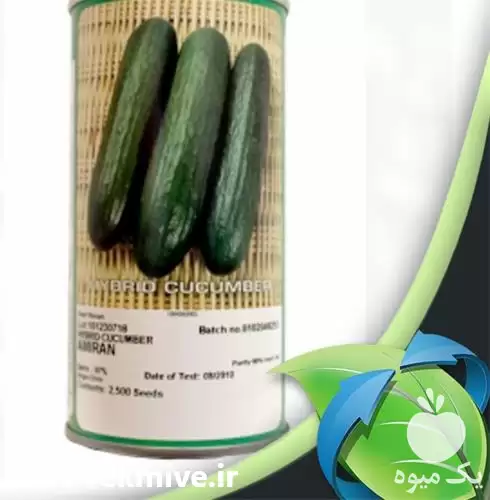 قیمت خرید عرضه بذر خیار امیران در شیراز در گروه خرید و فروش بذر خیار در یکمیوه -عکس1