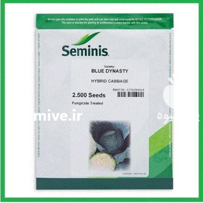 فروش بذر کلم پیچ هیبرید Blue در شیراز در گروه خرید و فروش بذر صیفی جات در یکمیوه -عکس1