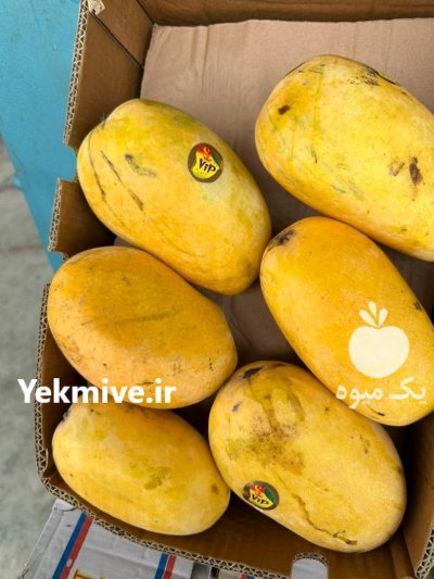 انبه پاکستانی اعلا در بندرعباس در گروه خرید و فروش انبه در یکمیوه -عکس1