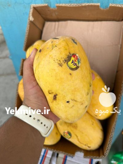 انبه پاکستانی اعلا در بندرعباس در گروه خرید و فروش انبه در یکمیوه -عکس2