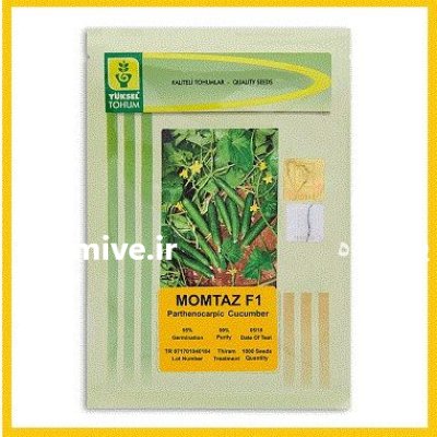 فروش بذر خیار زودرس ممتاز یوکسل در گروه خرید و فروش بذر خیار در یکمیوه -عکس1