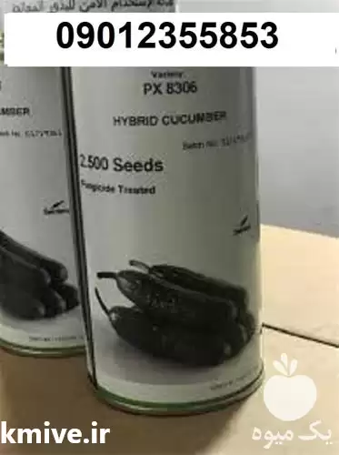 فروش بذر خیار رقم زودرس کوکمبر در همدان در گروه خرید و فروش بذر خیار در یکمیوه -عکس1