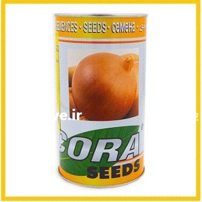 فروش بذر پیاز استاندارد طلایی کوراسید در شیراز در گروه خرید و فروش بذر پیاز در یکمیوه -عکس1