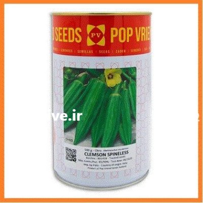 فروش بذر زودرس بامیه پوپ در شیراز در گروه خرید و فروش بذر بامیه در یکمیوه -عکس1