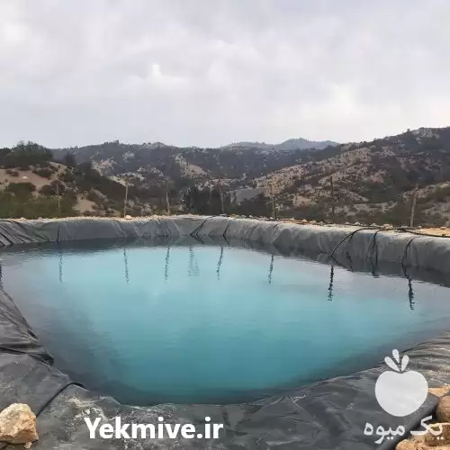 فروش استخر کشاورزی ژئوممبرین در ساری در گروه خرید و فروش استخر کشاورزی در یکمیوه -عکس1