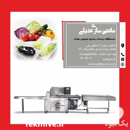 فروش دستگاه بسته بندی صیفی جات در گروه خرید و فروش تجهیزات بسته بندی در یکمیوه -عکس1