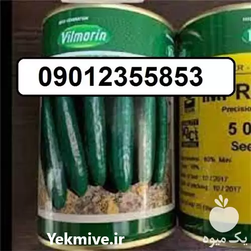 فروش قیمت بذر خیار ویلمورین در گروه خرید و فروش بذر خیار در یکمیوه -عکس1
