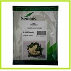 فروش بذر گل کلم اویندولی Ovindoli در شیراز در گروه خرید و فروش بذر صیفی جات در یکمیوه