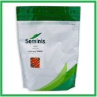 فروش بذر هویج هیبرید کاروجو Carvejo در شیراز در گروه خرید و فروش بذر هویج در یکمیوه