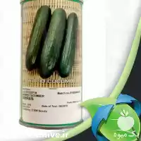 قیمت خرید عرضه بذر خیار امیران در شیراز در گروه خرید و فروش بذر خیار در یکمیوه