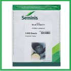 فروش بذر کلم پیچ هیبرید Blue در شیراز در گروه خرید و فروش بذر صیفی جات در یکمیوه