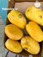 انبه پاکستانی اعلا در بندرعباس در گروه خرید و فروش انبه در یکمیوه