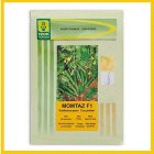 فروش بذر خیار زودرس ممتاز یوکسل در گروه خرید و فروش بذر خیار در یکمیوه