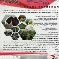 مشاوره گیاه پزشکی در شیراز در گروه مشاوره گیاه پزشکی در یکمیوه