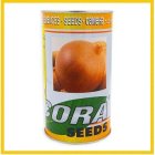 فروش بذر پیاز استاندارد طلایی کوراسید در شیراز در گروه خرید و فروش بذر پیاز در یکمیوه