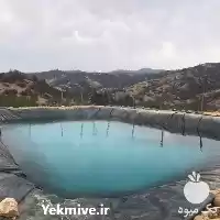 فروش استخر کشاورزی ژئوممبرین در ساری در گروه خرید و فروش استخر کشاورزی در یکمیوه