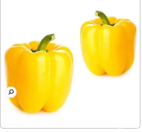 فروش بذر فلفل دلمه یلوسان در گروه خرید و فروش بذر فلفل در یکمیوه -عکس1