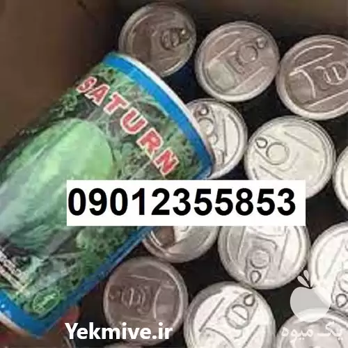 قیمت بذر هندوانه میکادو پرفروش اصل در شیراز در گروه خرید و فروش بذر هندوانه در یکمیوه -عکس1